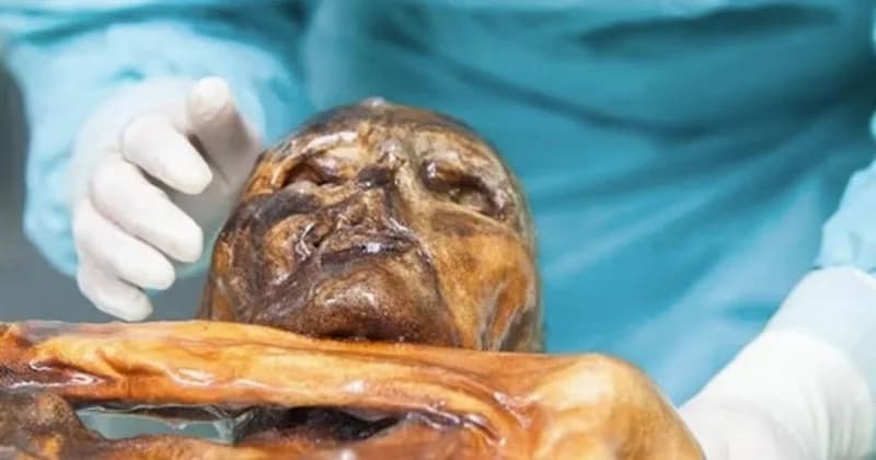 The Perfect Bread Starter: Scientists Revive Yeast from a 5,000-Year-Old Mummy