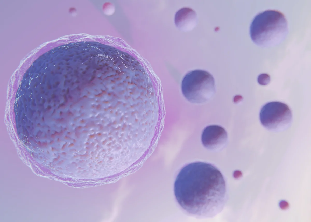 Egg Freezing in France: Costs, Coverage, and Guidelines for 2026
