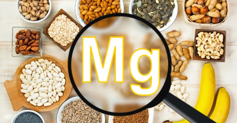 Beyond Muscles: How Proper Micronutrient Intake Supports Mental Fitness